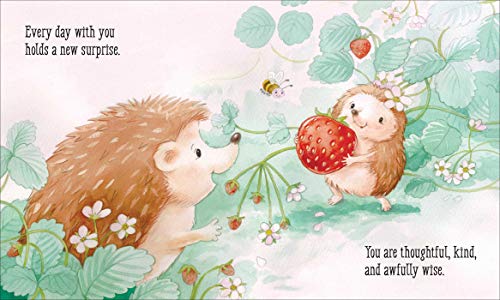 I'll Love You More (Padded Board Books for Babies)