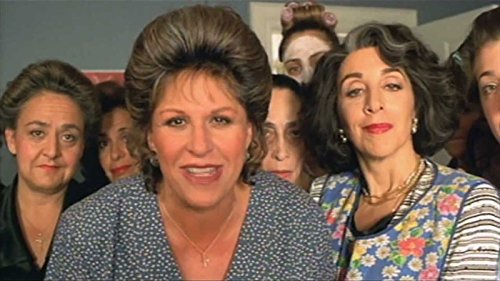 My Big Fat Greek Wedding (DVD)