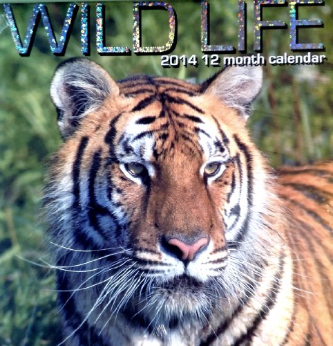 2014 Wild Life 12 Month Wall Calendar Bonus:large Size Christmas Glitter Gift Bag & Beaded Leg Santa Ornament