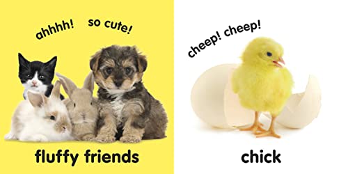 Baby Touch and Feel: Fluffy Animals