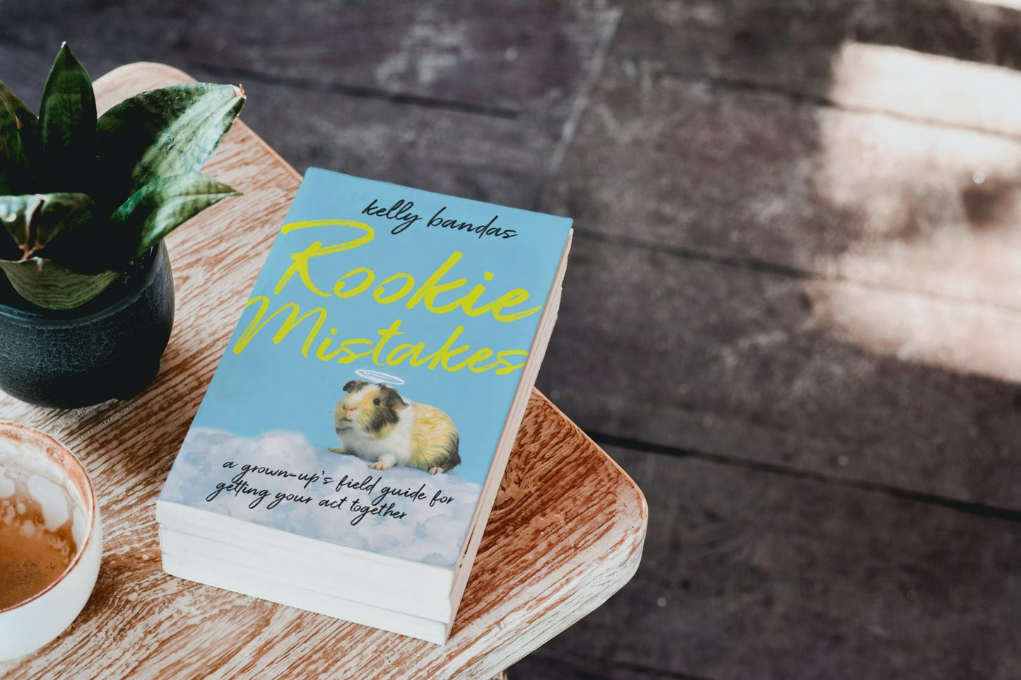 Rookie Mistakes: A Grown-Up's Field Guide for Getting Your Act Together