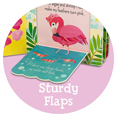 What is a Sloth? (Chunky Lift-a-Flap Board Book)