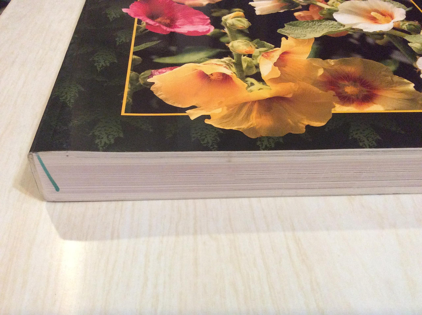 New Complete Guide to Gardening