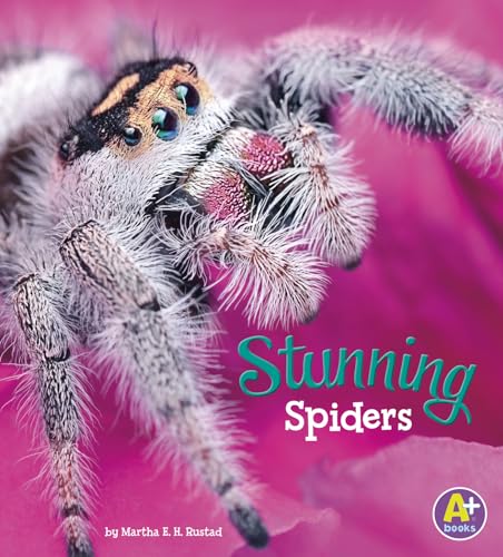 Stunning Spiders (Bugs Are Beautiful!)