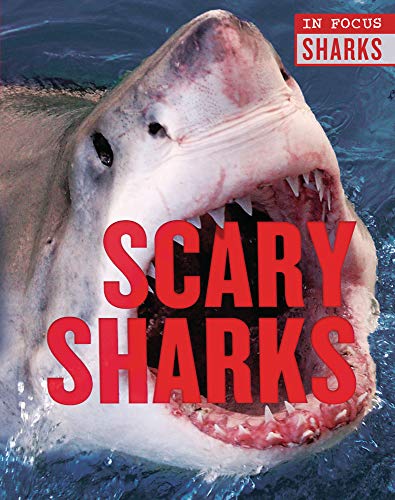 Scary Sharks (In Focus: Sharks)