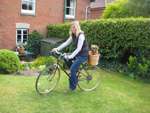 The Secret Cat (Tiger Days) (Book 1) - 9997