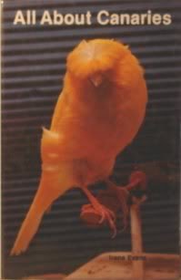 All About Canaries