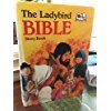 Bible Story Book (Large Gift)