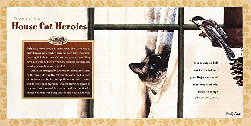 The Purrfect Companion: Learning About Life from Our Feline Friends