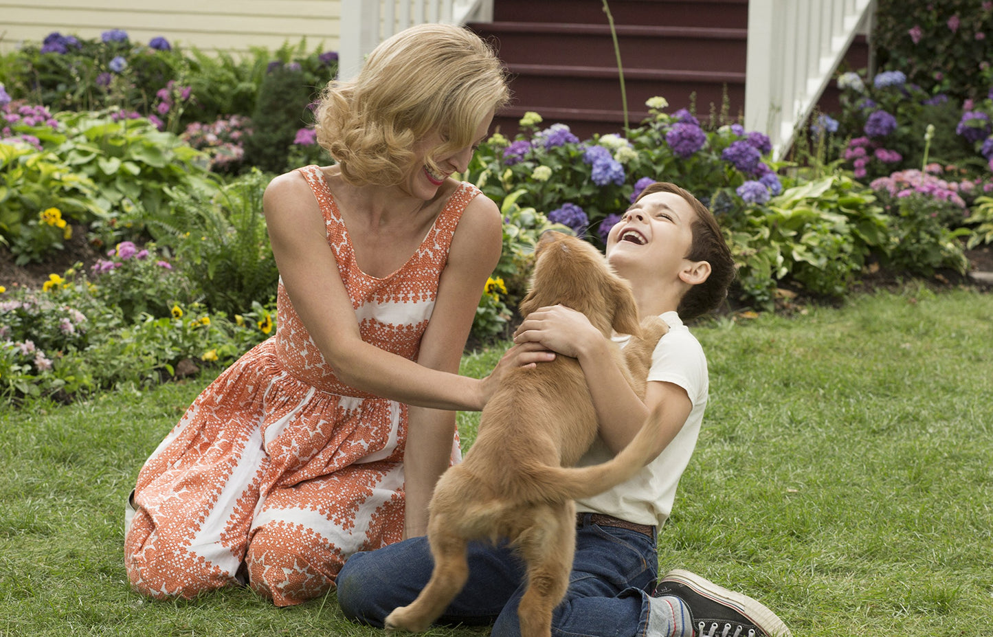 A Dog's Purpose [DVD]