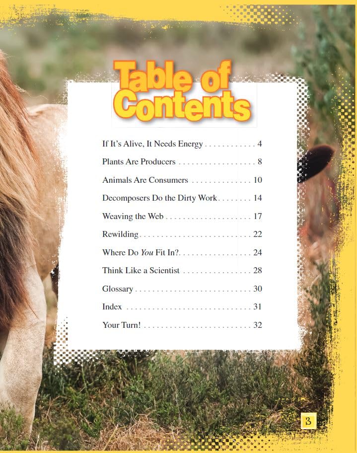 Teacher Created Materials - Science Readers: Content and Literacy: Food Webs - Grade 3 - Guided Reading Level P