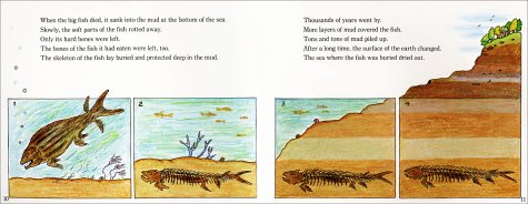 Fossils Tell of Long Ago (Let's-Read-and-Find-Out Science 2)