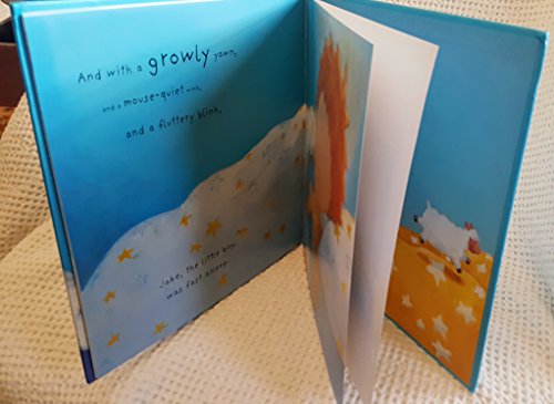 Wide Awake Jake (Meadowside Picture Books)