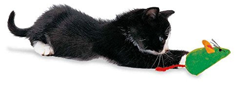 Furry Kittens (Feels Real Books)