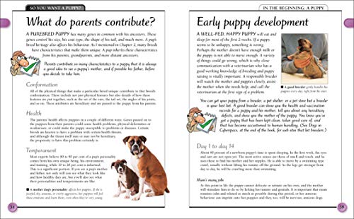 KISS Guide to Raising a Puppy (Keep it Simple Guides)