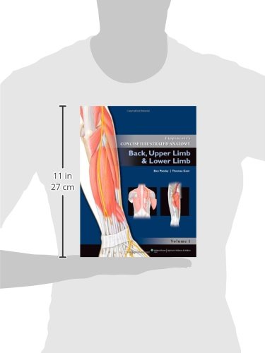 Back, Upper Limb and Lower Limb: Back, Upper Limb and Lower Limb (Volume 2) (Lippincott's Concise Illustrated Anatomy)