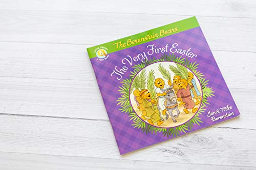 THE BERENSTAIN BEARS THE VERY FI