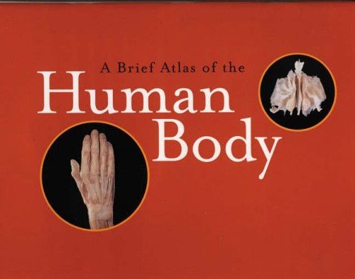 A Brief Atlas of the Human Body - 4152
