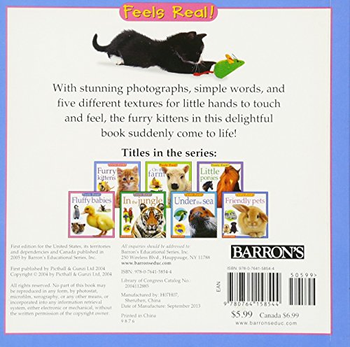 Furry Kittens (Feels Real Books)