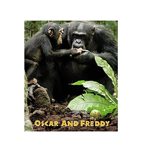 Chimpanzee Oscar and Freddy (Disney Nature Chimpanzee)