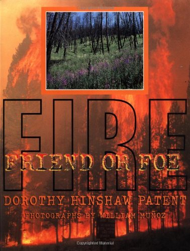 Fire: Friend or Foe