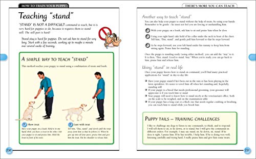 KISS Guide to Raising a Puppy (Keep it Simple Guides)