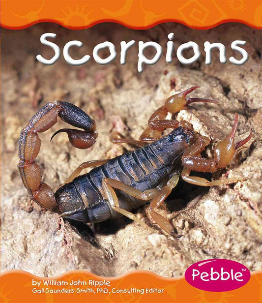 Scorpions (Pebble Books)