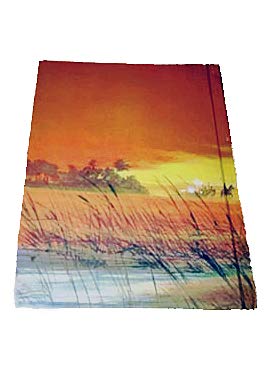 Moses in the Bulrushes (Now you can read--Bible Stories)