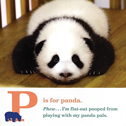 ABC ZooBorns!