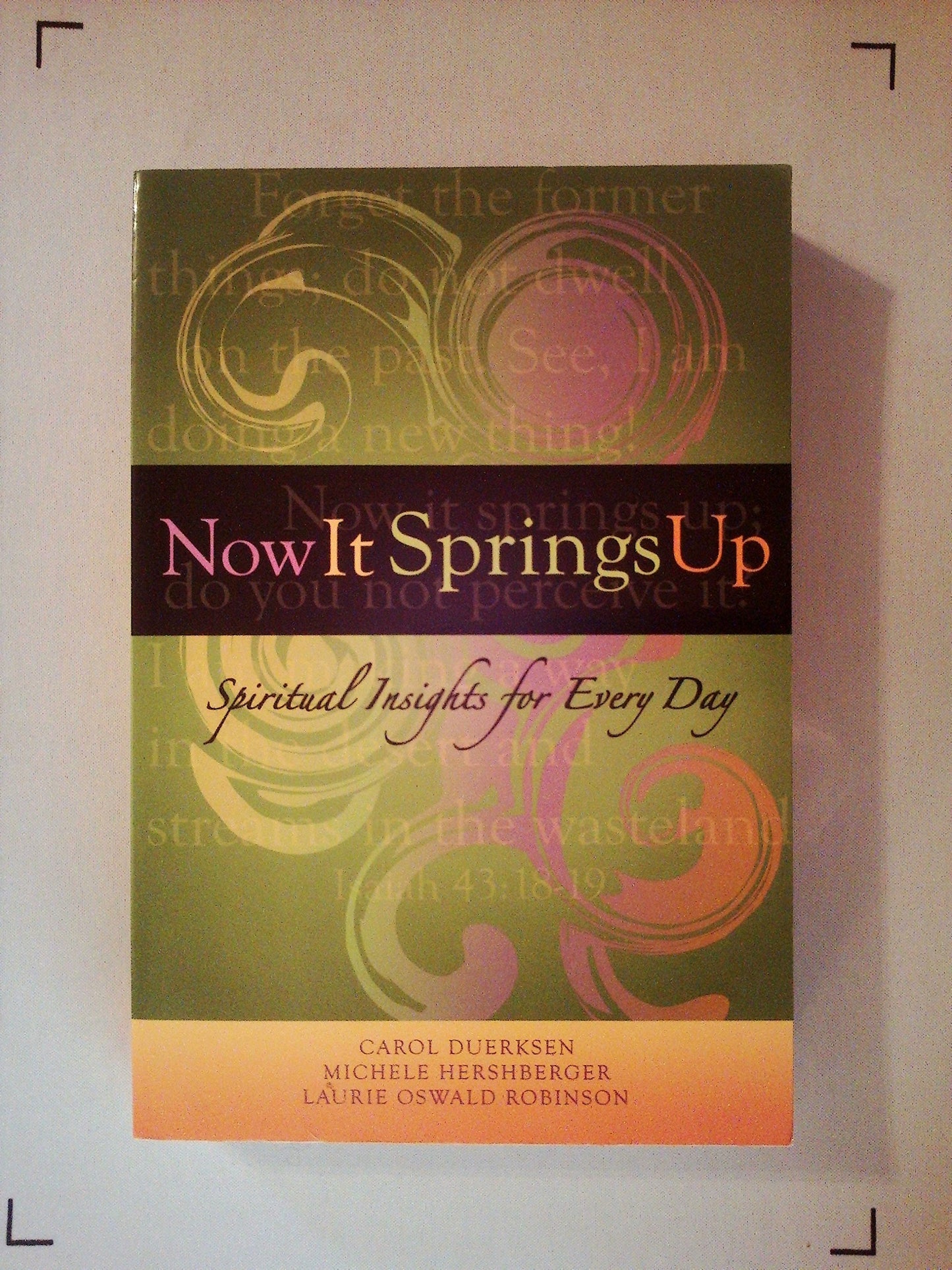 Now It Springs Up: Spiritual Insights for Every Day