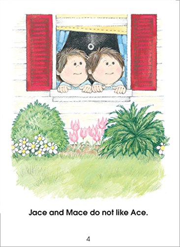 School Zone - The Big Race, Start to Read! Book Level 2 - Ages 5 to 7, Rhyming, Early Reading, Vocabulary, Simple Sentence Structure, and More (School Zone Start to Read! Book Series) (Prepack 3)
