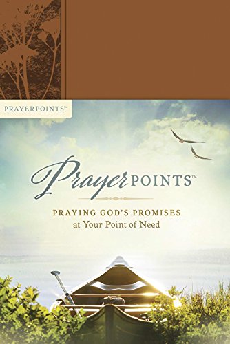 PrayerPoints: Praying God's Promises at Your Point of Need - 8810