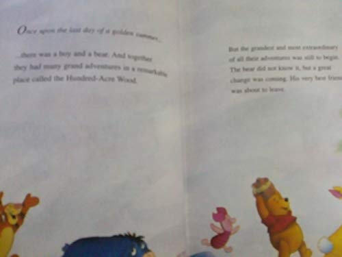 POOH'S GRAND ADVENTURE: THE SEAR