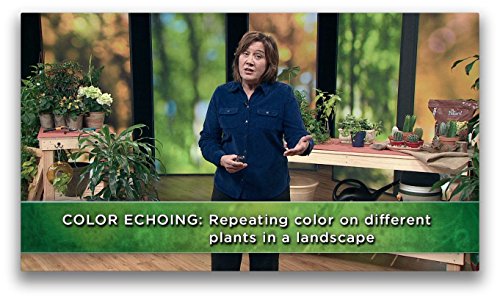 How to Grow Anything: Your Best Garden and Landscape in 6 Lessons
