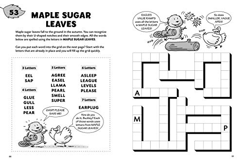 The Great Outdoors Games & Puzzles (Storey's Games & Puzzles)