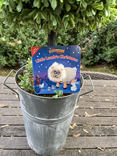 The Beginner's Bible Little Lamb's Christmas: A Finger Puppet Board Book - 646