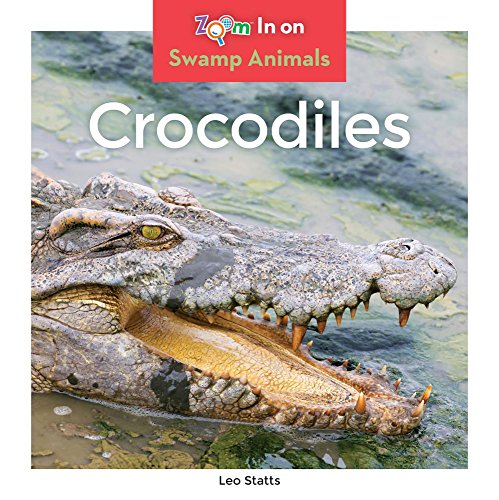 Crocodiles (Swamp Animals)