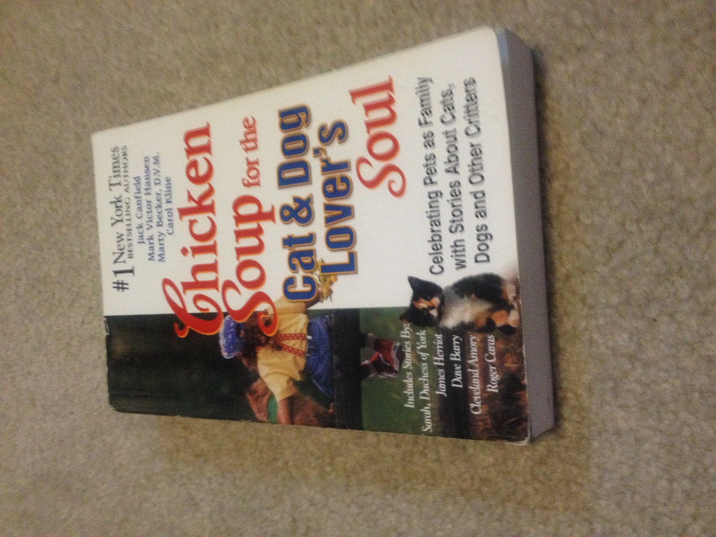Chicken Soup for the Cat & Dog Lover's Soul: Celebrating Pets as Family with Stories About Cats, Dogs and Other Critters