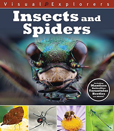 Insects and Spiders (Visual Explorers)