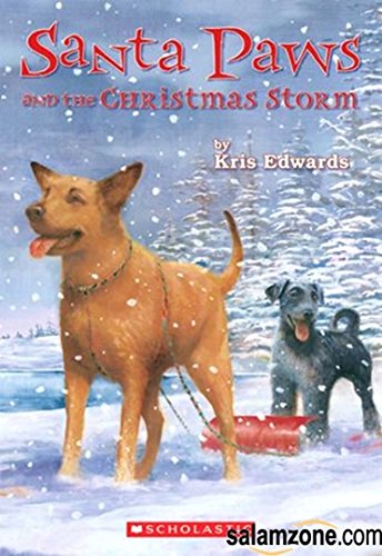 Santa Paws and the Christmas Storm
