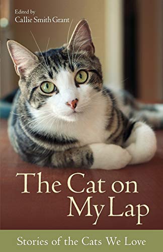 The Cat on My Lap: Stories of the Cats We Love - 5503