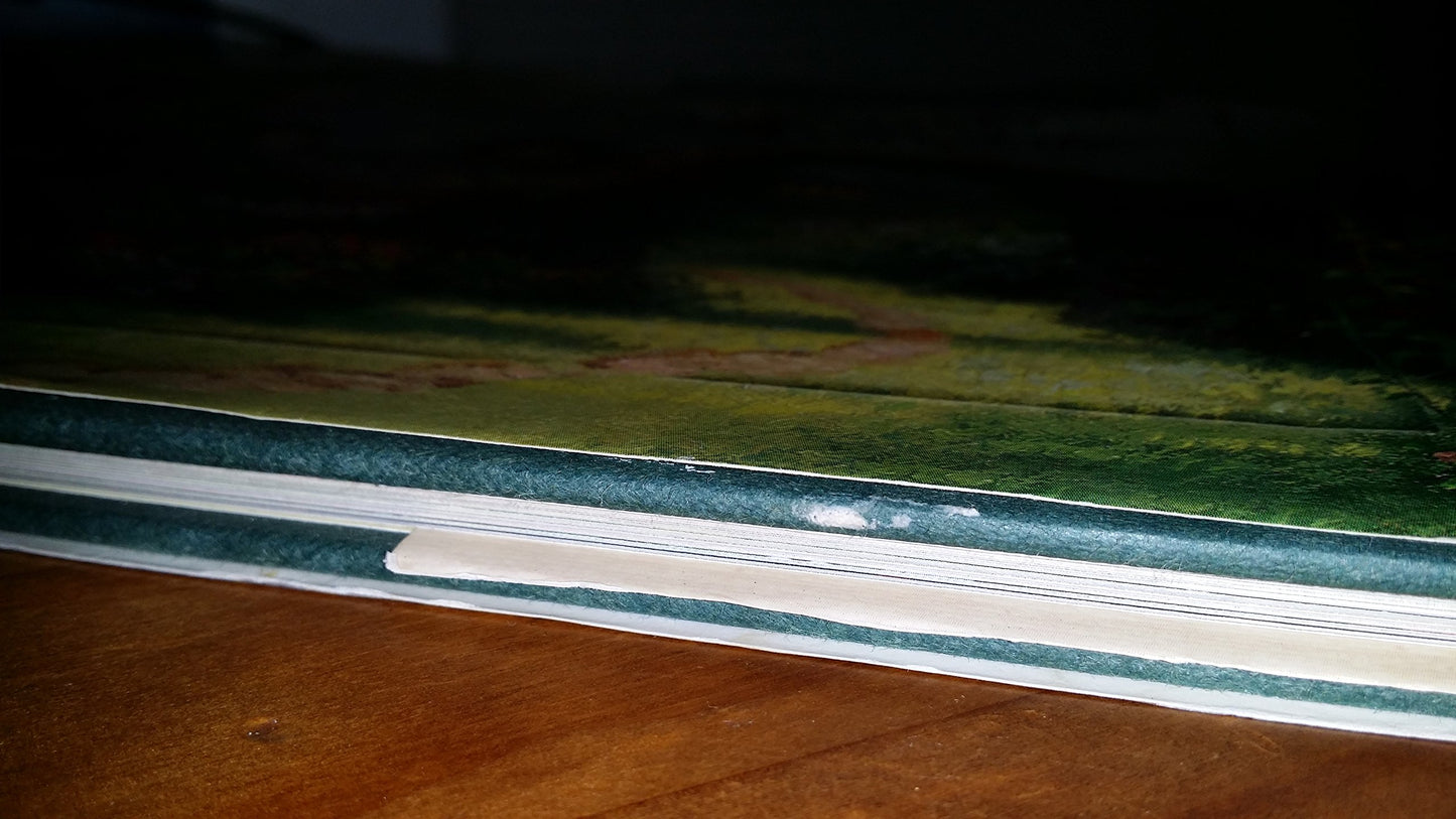Beyond the Garden Gate (Lighted Path Collection)
