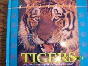 Wildcats of the World - Tigers - 4608