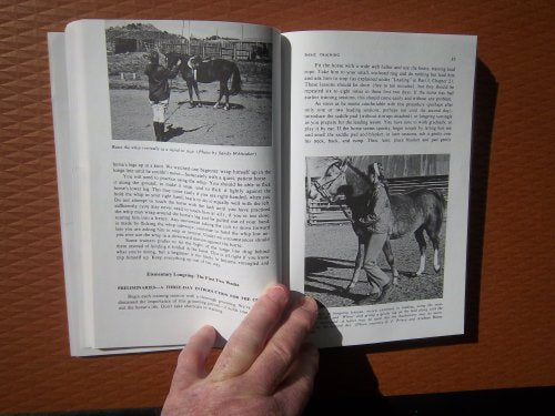 Basic Training for Horses (Doubleday Equestrian Library)