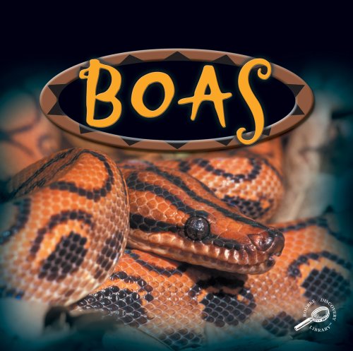 Boas (Amazing Snakes) - 5530