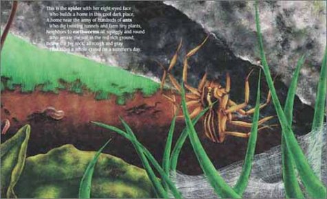 Under One Rock: Bugs, Slugs & Other Ughs