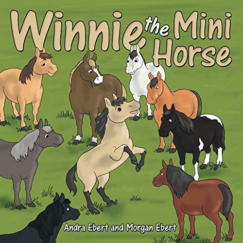 Winnie the Mini Horse - 8533