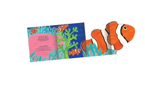 Ocean! A Big Fold-Out Flap Book