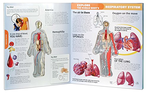 EXPLORE THE HUMAN BODY
