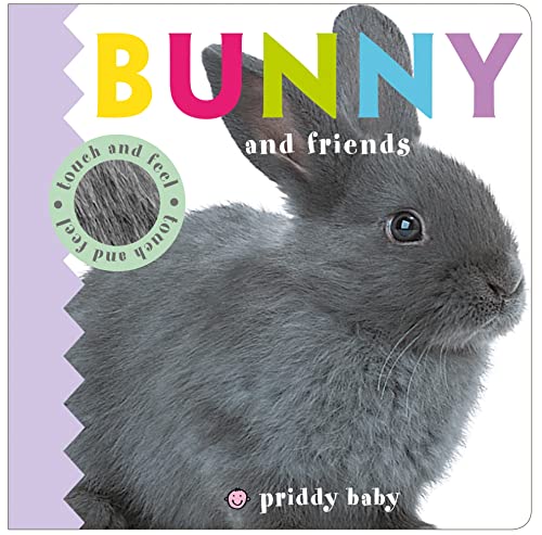 Bunny and Friends Touch and Feel (Baby Touch and Feel) - 9496